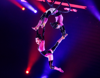 Cirque du Soleil: a phenomenal relaunch!